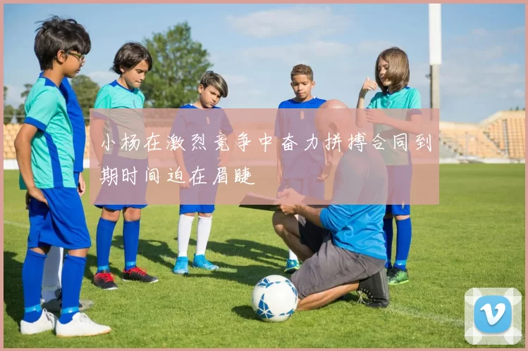 小杨在激烈竞争中奋力拼搏合同到期时间迫在眉睫