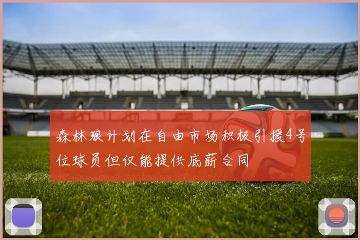 森林狼计划在自由市场积极引援4号位球员但仅能提供底薪合同