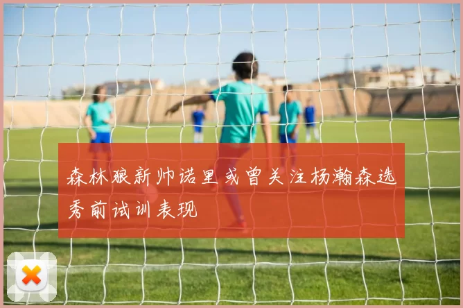 森林狼新帅诺里或曾关注杨瀚森选秀前试训表现