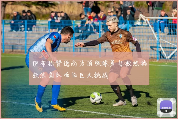伊布称赞德尚为顶级球员与教练执教法国队面临巨大挑战