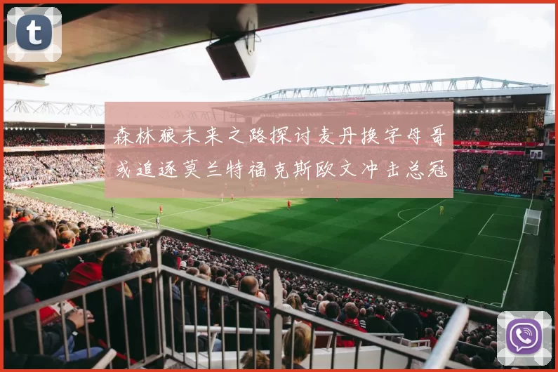 森林狼未来之路探讨麦丹换字母哥或追逐莫兰特福克斯欧文冲击总冠军